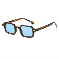 Tortoise/Blue